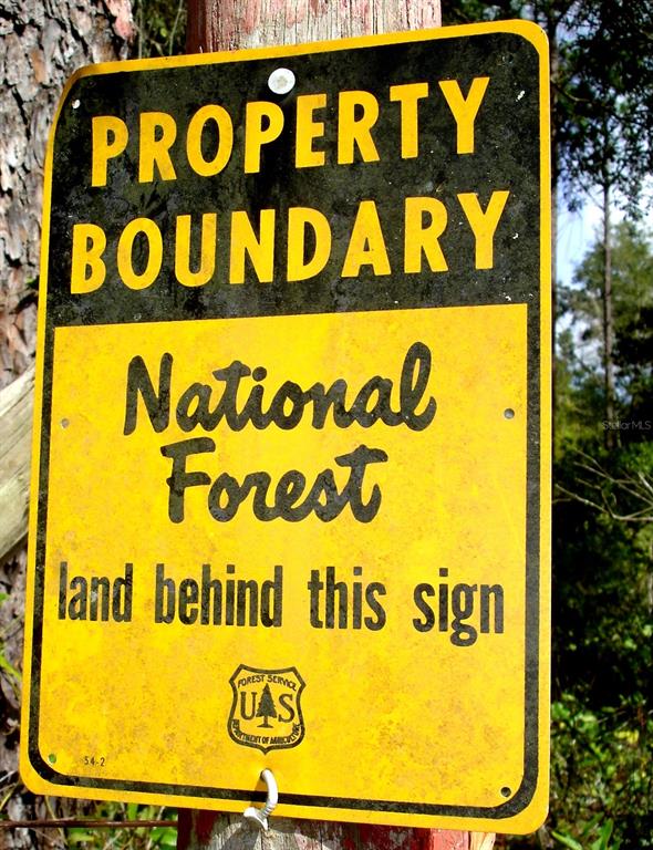 A yellow and black metal sign indicates a National Forest property boundary — FOREST  02 ROAD, UMATILLA, FL