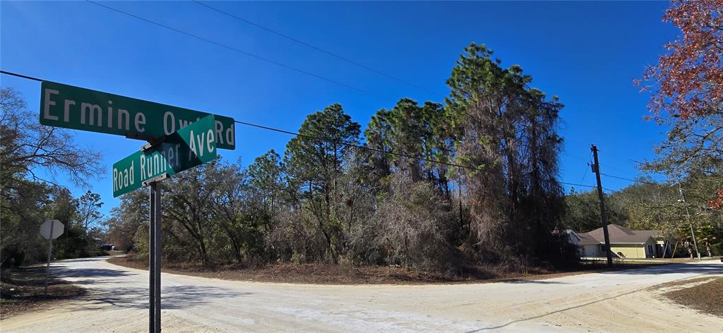 A street sign stands at the intersection of two dirt roads near a wooded lot — 13231 ROAD RUNNER AVENUE, WEEKI WACHEE, FL