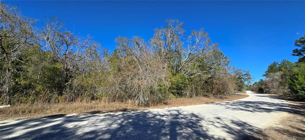 A dirt road curves past a dense, wooded lot under a clear blue sky — 13231 ROAD RUNNER AVENUE, WEEKI WACHEE, FL