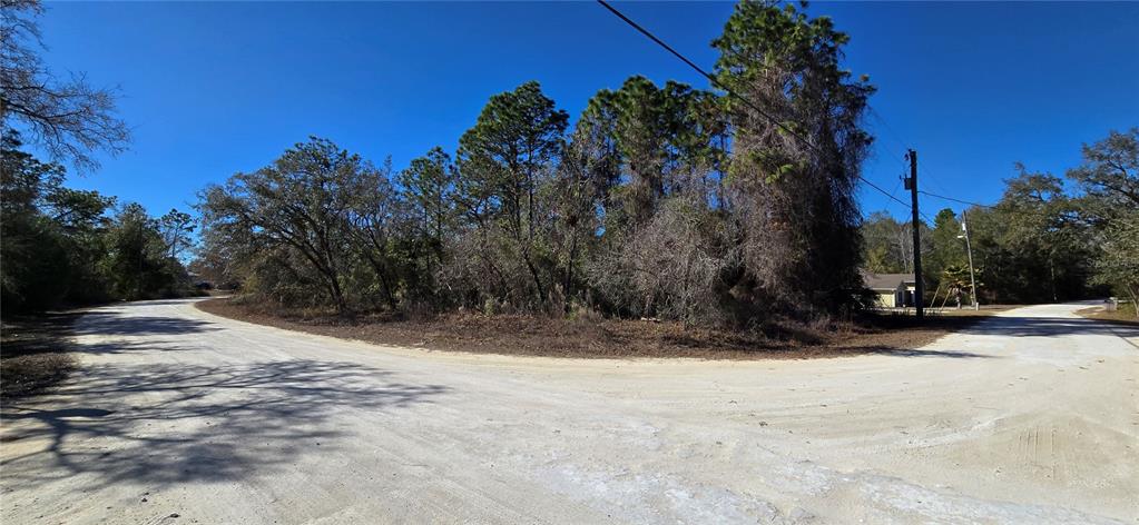 A dirt road forks in front of a wooded lot under a clear blue sky — 13231 ROAD RUNNER AVENUE, WEEKI WACHEE, FL