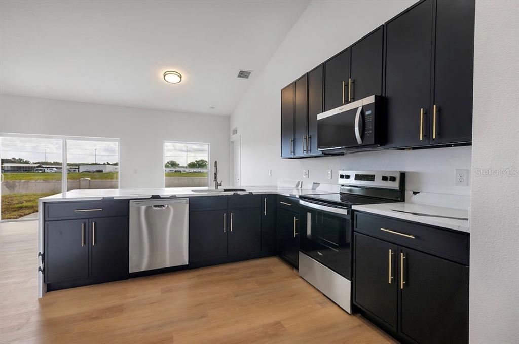 A modern kitchen features black cabinets, stainless steel appliances, and light wood flooring — 1231 DUNBAR AVENUE, SANFORD, FL