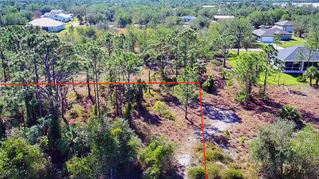 An aerial view shows a wooded residential lot marked with red boundary lines — 27051 CAPISTRANO DRIVE, PUNTA GORDA, FL