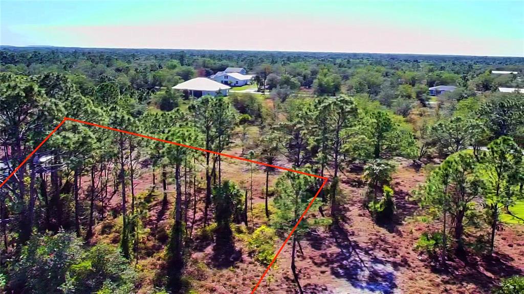 An aerial view shows a wooded, undeveloped lot outlined in red with nearby residential houses — 27051 CAPISTRANO DRIVE, PUNTA GORDA, FL