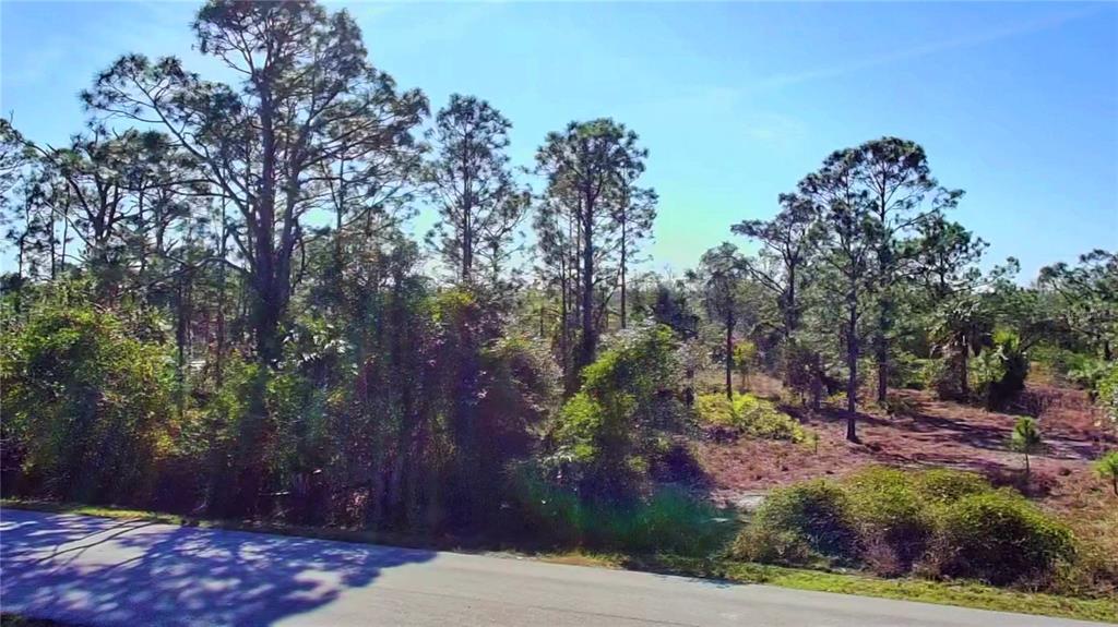 A vacant, wooded lot with pine trees sits adjacent to a paved road — 27051 CAPISTRANO DRIVE, PUNTA GORDA, FL