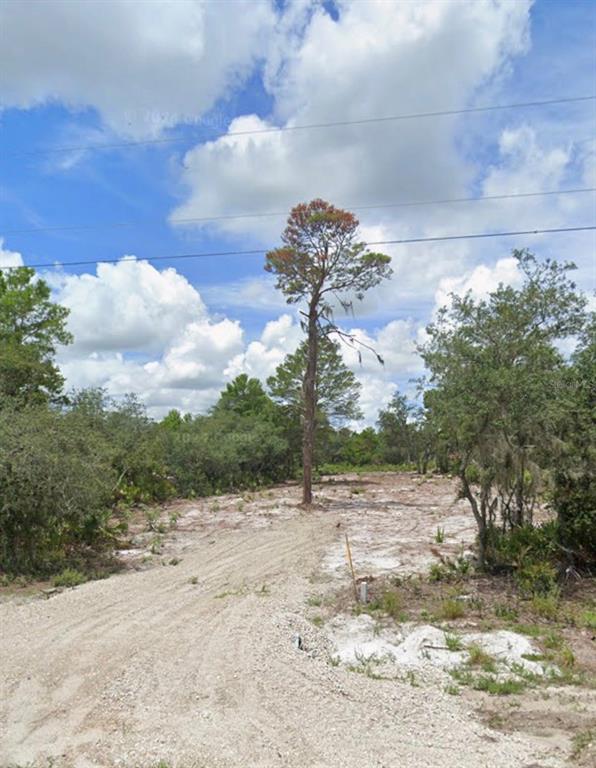 WOODSTORK WAY