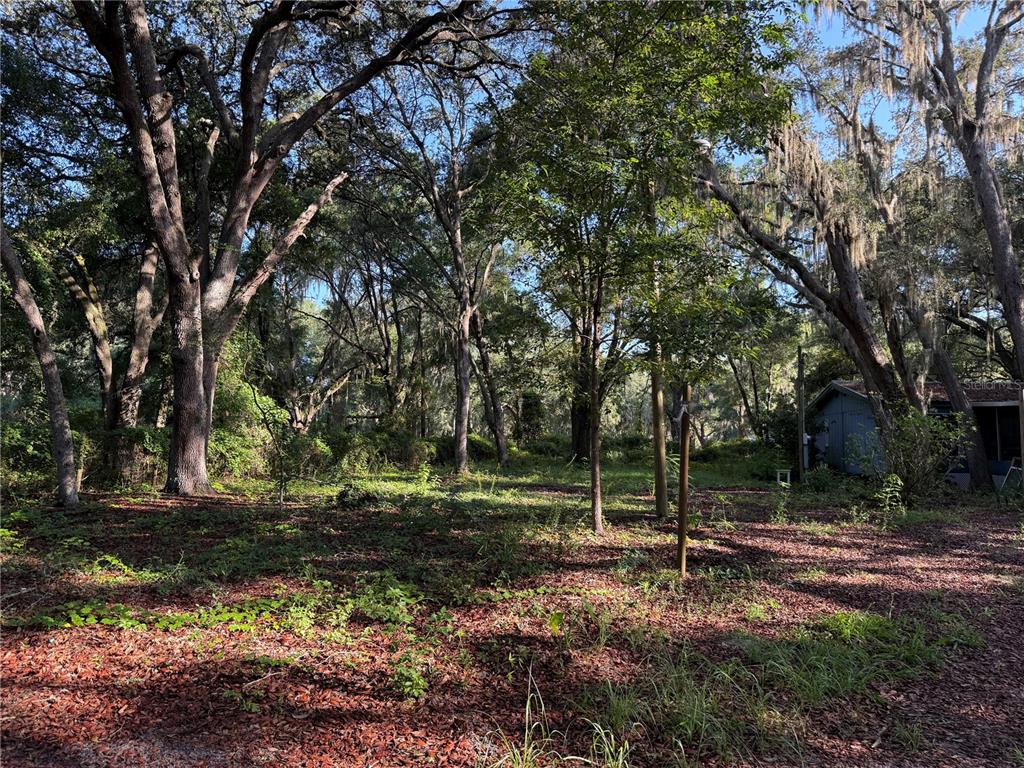 13799 NE 47TH AVENUE, ANTHONY, FL — photo 5 of 8