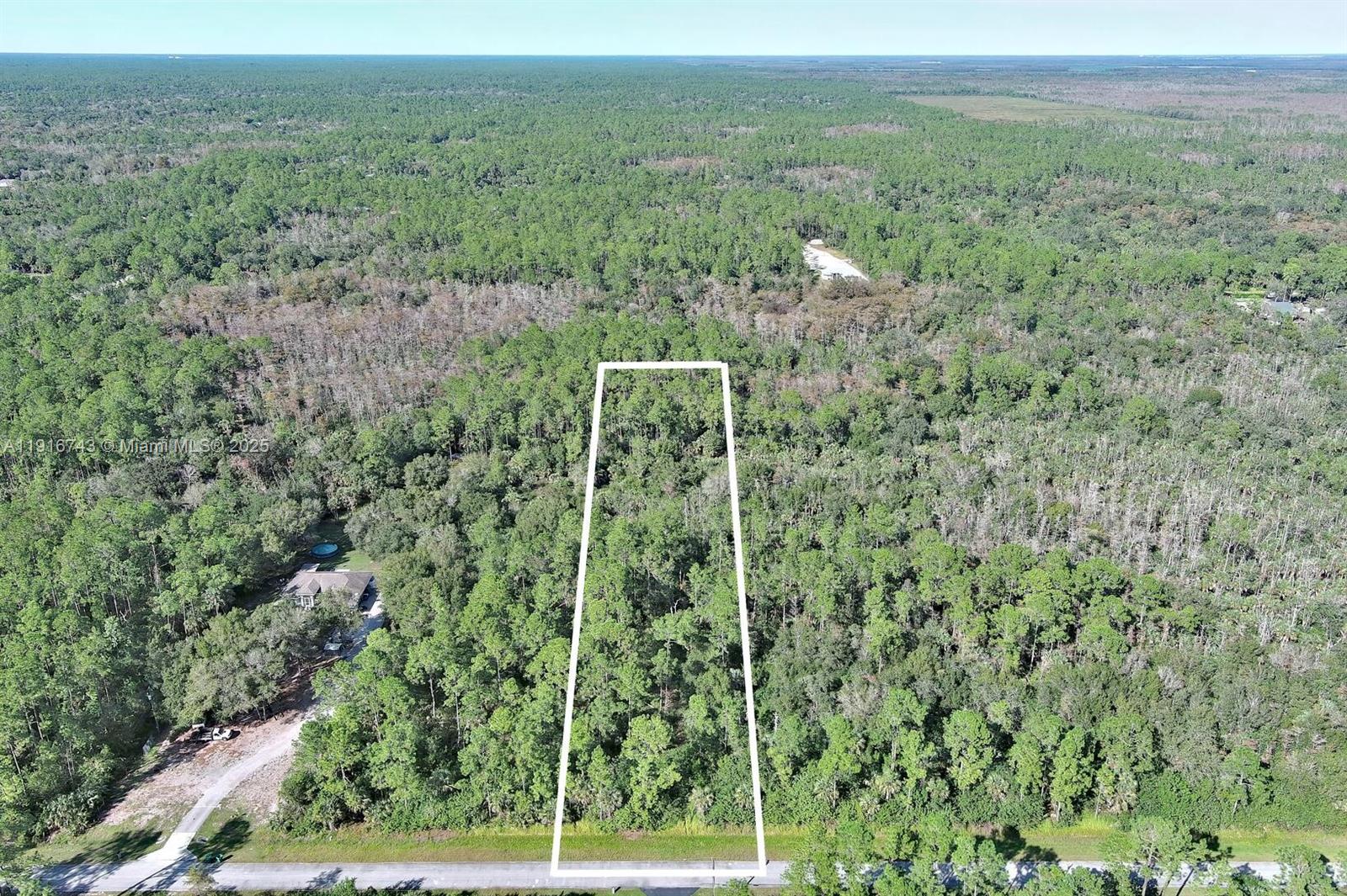 An aerial view shows a rectangular, wooded vacant lot outlined in white along a road — 4669 32nd Ave SE, Naples FL 34117, NAPLES, FL