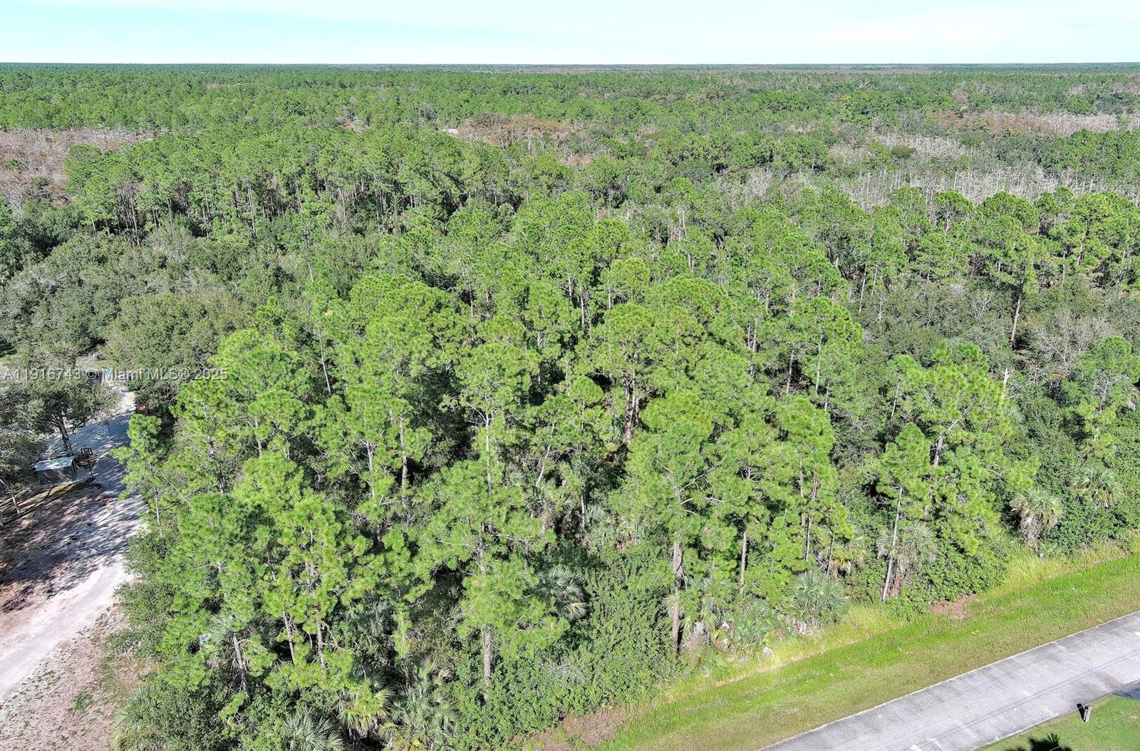 An aerial view shows a dense, wooded lot bordered by a road and a path — 4669 32nd Ave SE, Naples FL 34117, NAPLES, FL
