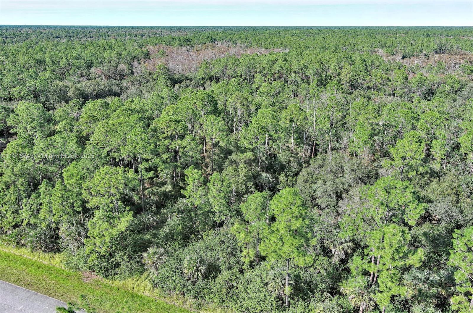 An aerial view shows a dense forest of pine trees and palmettos bordering a road — 4669 32nd Ave SE, Naples FL 34117, NAPLES, FL