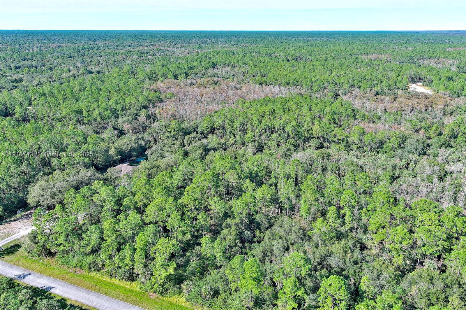 An aerial view shows a house nestled within a dense, expansive forest near a road — 4669 32nd Ave SE, Naples FL 34117, NAPLES, FL