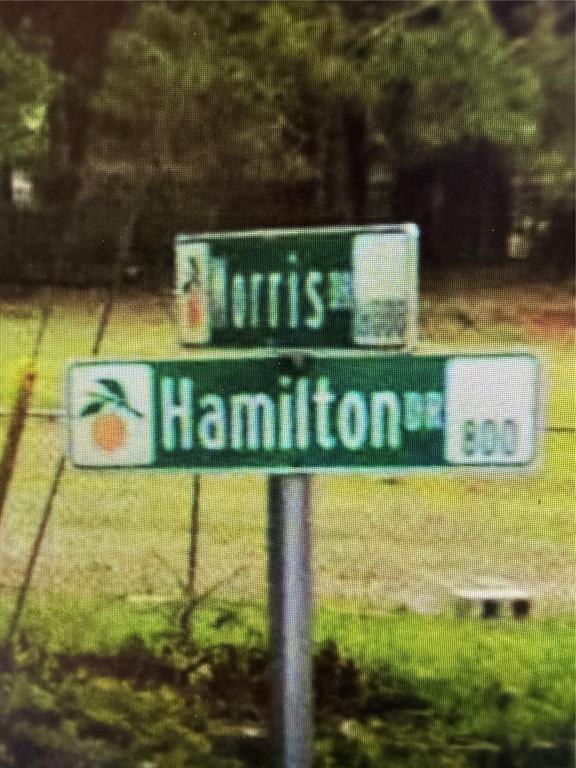 A street sign shows the intersection of Morris Drive and Hamilton Drive — 522 HAMILTON DRIVE, ORLANDO, FL
