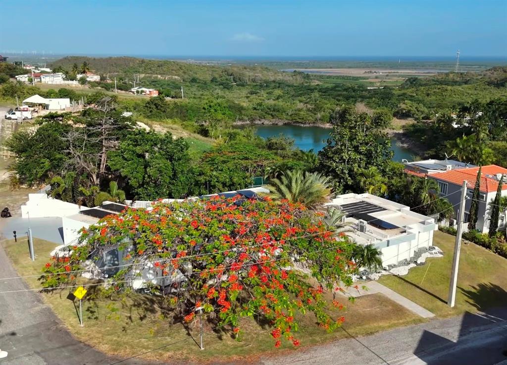 An aerial view shows a house with a large flowering tree and a nearby lake — 3505 LA SANTA EL MONTE, PONCE, PR