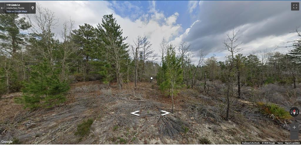 A wooded, undeveloped plot of land with sandy soil and scattered trees under a cloudy sky — 118 LINDA LANE, INTERLACHEN, FL