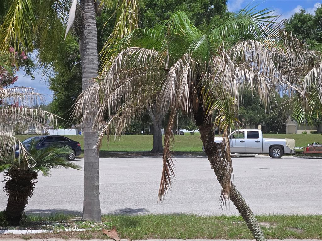 A leaning palm tree with brown fronds stands in front of a paved parking area — 4106 BALINGTON DRIVE, VALRICO, FL