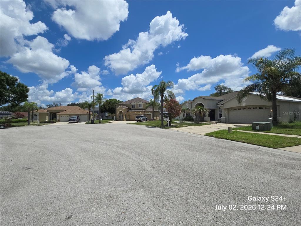 A street view of suburban houses with driveways, palm trees, and a blue sky — 4106 BALINGTON DRIVE, VALRICO, FL