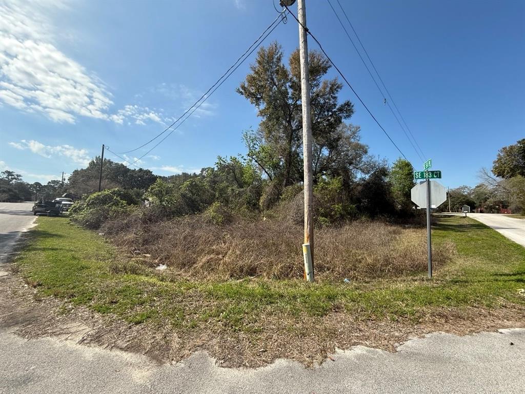 An overgrown corner lot features a utility pole and a street sign at an intersection — 5510 SE 183RD COURT, OCKLAWAHA, FL