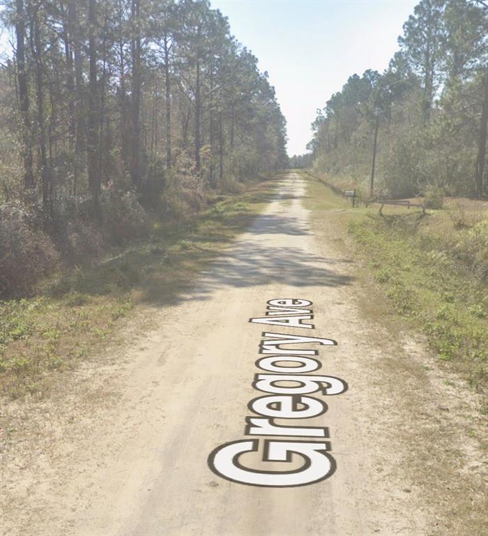 A dirt road stretches through a wooded area with a mailbox visible on the right — 10620 GREGORY AVENUE, HASTINGS, FL