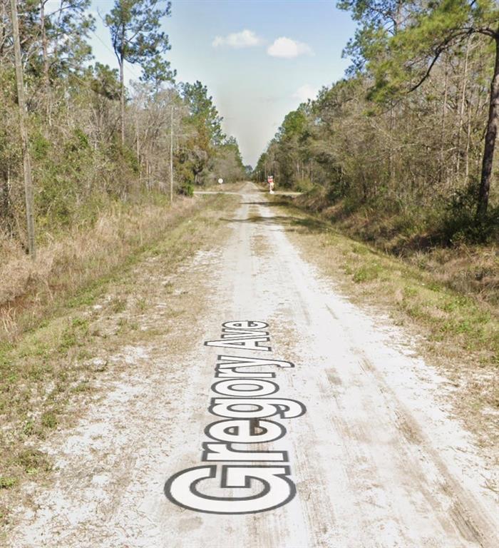 A dirt road stretches through a wooded area toward a distant intersection — 10620 GREGORY AVENUE, HASTINGS, FL