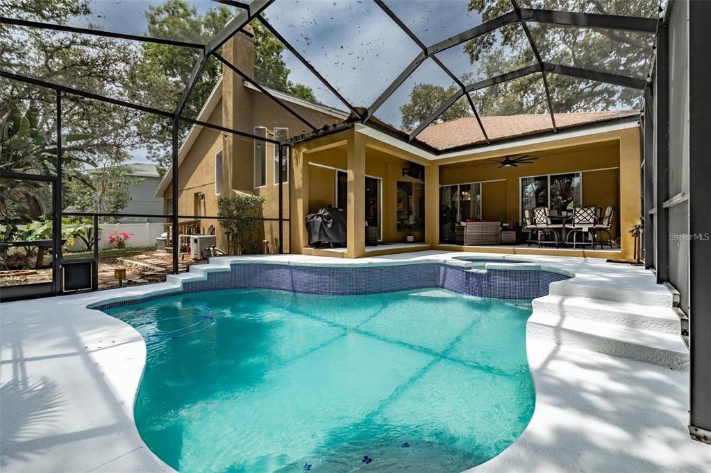 A swimming pool with a spa sits inside a screened-in lanai behind a tan house — 10131 PADDOCK OAKS DRIVE, RIVERVIEW, FL