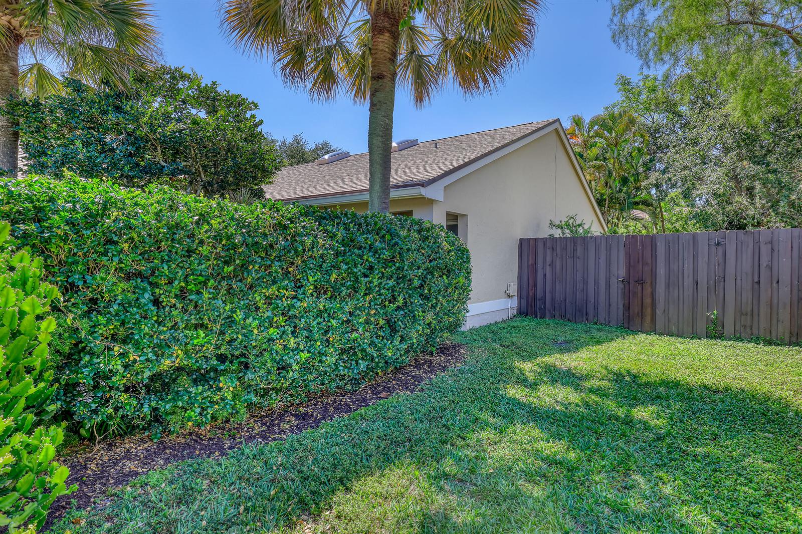 A backyard features a manicured hedge, a wooden privacy fence, and a palm tree — 4201 Green Forest Way, Boynton Beach FL 33436, BOYNTON BEACH, FL