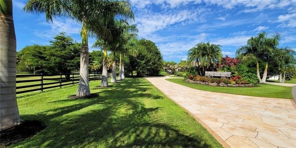 A paved driveway leads toward a house past a row of palm trees and fencing — 3200 ROWLAND DRIVE, PUNTA GORDA, FL