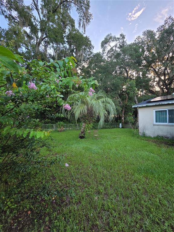 A grassy backyard features a palm tree, flowering shrubs, and a house with solar panels — 11647 SE 60TH AVENUE, BELLEVIEW, FL