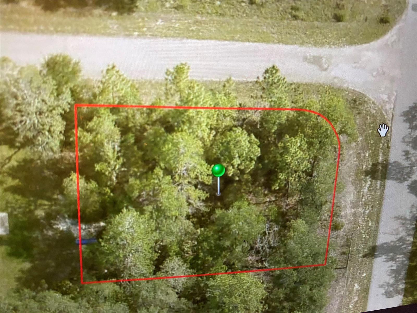 An aerial view shows a wooded, rectangular lot outlined in red with a green location pin — 6689 N Bedstrow Boulevard, FL 34434, FL