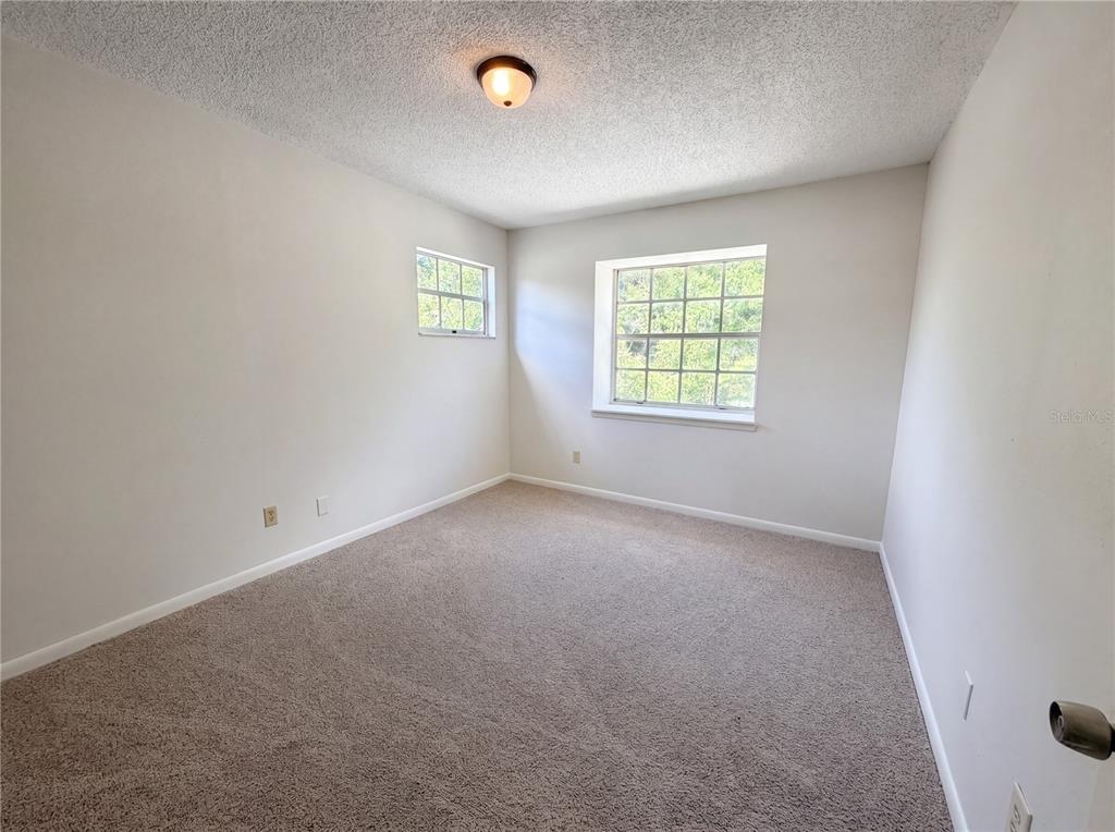 An empty bedroom features beige carpet, white walls, two windows, and a ceiling light fixture — 2534 VICTARRA CIRCLE, LUTZ, FL