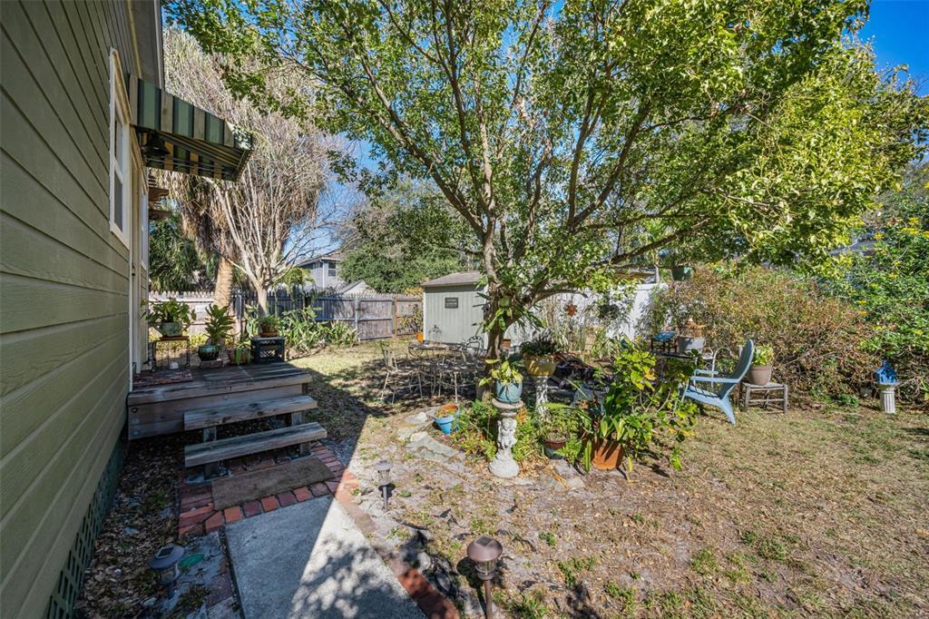 A backyard features a wooden deck, a small storage shed, and a large shade tree — 3411 W BAY AVENUE, TAMPA, FL