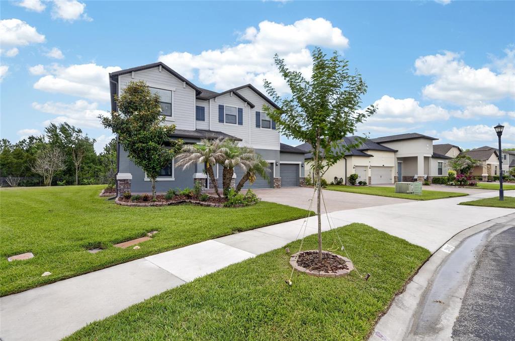 A two-story house with a gray exterior, a two-car garage, and a landscaped front yard — 2905 HILLIARD DRIVE, WESLEY CHAPEL, FL