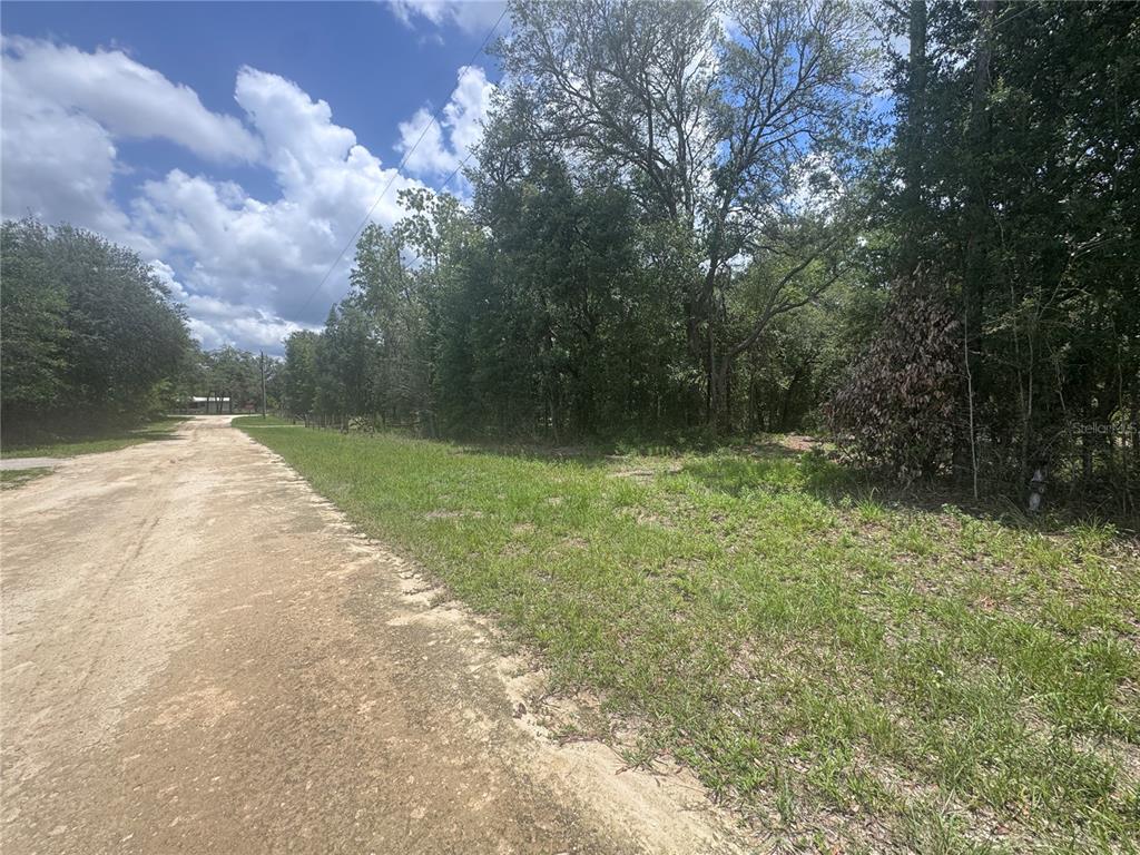 A dirt road runs alongside a grassy, wooded lot under a partly cloudy sky — 751 NE 139TH AVENUE, WILLISTON, FL