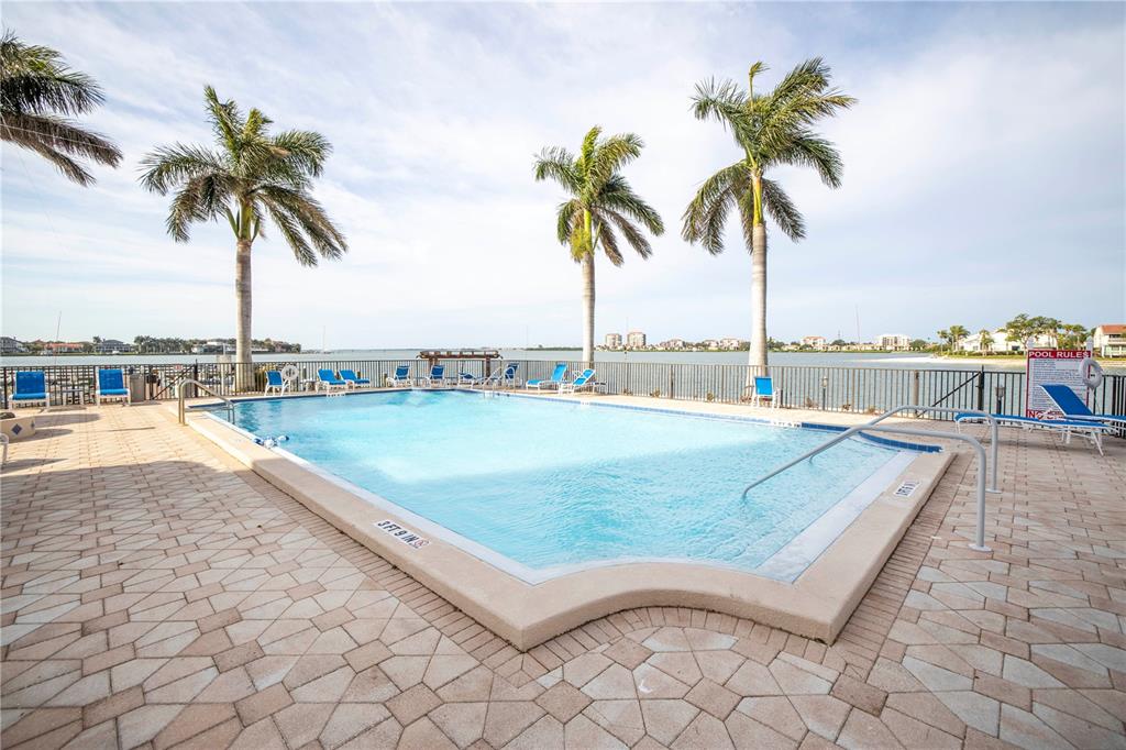 A swimming pool with palm trees overlooks a bay with a metal fence — 5220 BRITTANY DRIVE S UNIT 1204, ST PETERSBURG, FL
