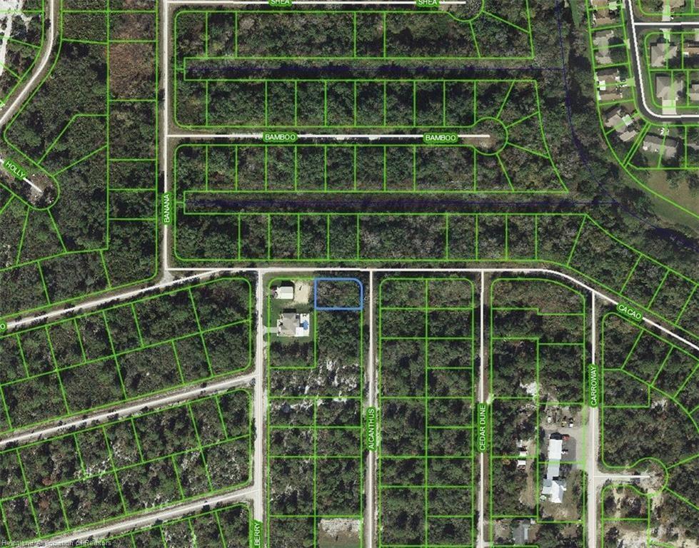1218 Ailanthus Street, Lake Placid FL 33852