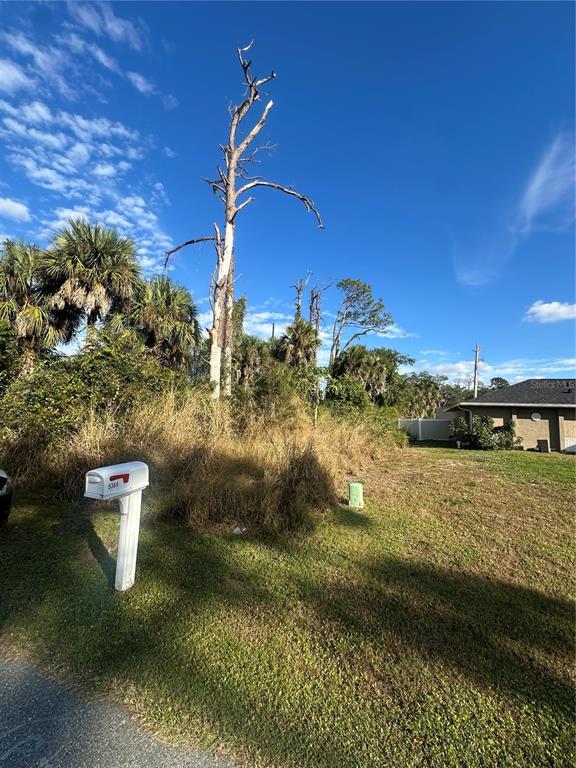 A grassy vacant lot features a tall dead tree and a white mailbox — ALIBI TERRACE, NORTH PORT, FL