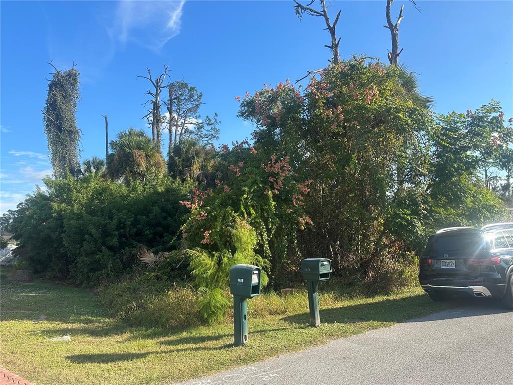 A black SUV is parked on a road next to two mailboxes and dense vegetation — ALIBI TERRACE, NORTH PORT, FL