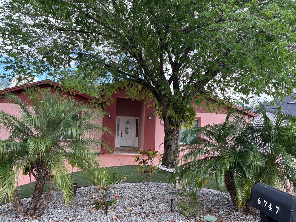 A pink single-story house with a large tree, palm trees, and a gravel front yard — 6747 RALSTON BEACH CIRCLE, TAMPA, FL