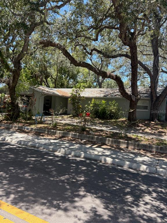 A single-story house with a light-colored exterior is shaded by large, mature oak trees — 439 E MARTIN LUTHER KING JR DRIVE, TARPON SPRINGS, FL