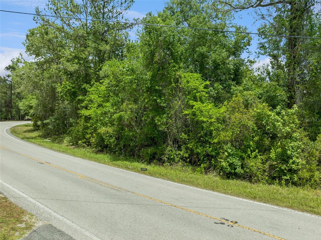 A paved road curves past a densely wooded, undeveloped lot under a clear blue sky — CULBREATH ROAD, BROOKSVILLE, FL