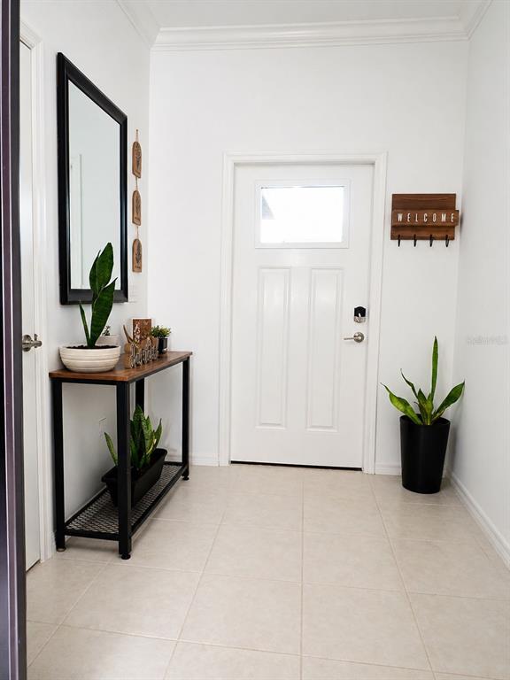 A white-walled entryway features a console table, a mirror, and potted snake plants — 36384 WELL HILL WAY, ZEPHYRHILLS, FL