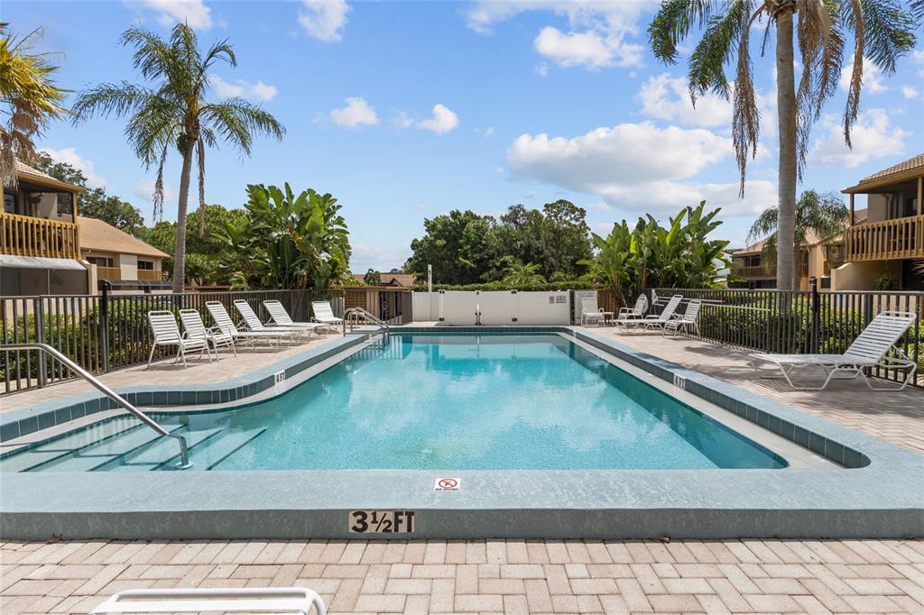 An outdoor rectangular swimming pool is surrounded by a brick paver deck and lounge chairs — 3037 WILLOW GREEN DRIVE UNIT 12, SARASOTA, FL