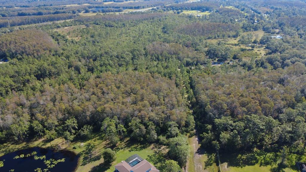 An aerial view shows a house with a pool next to a large, forested area — 0 CYPRESS CREEK RANCH ROAD, ST CLOUD, FL