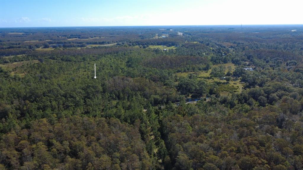 An aerial view shows a dense, wooded landscape with a white arrow pointing downward — 0 CYPRESS CREEK RANCH ROAD, ST CLOUD, FL