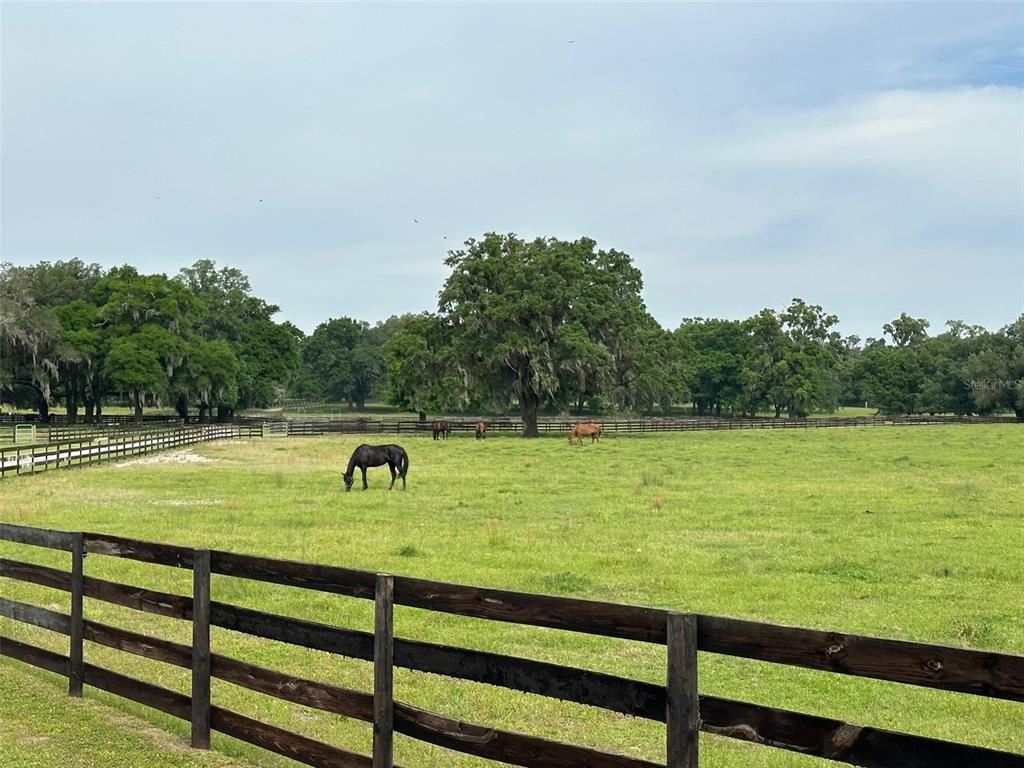 4101 NW 89TH PLACE, OCALA, FL — photo 2 of 28
