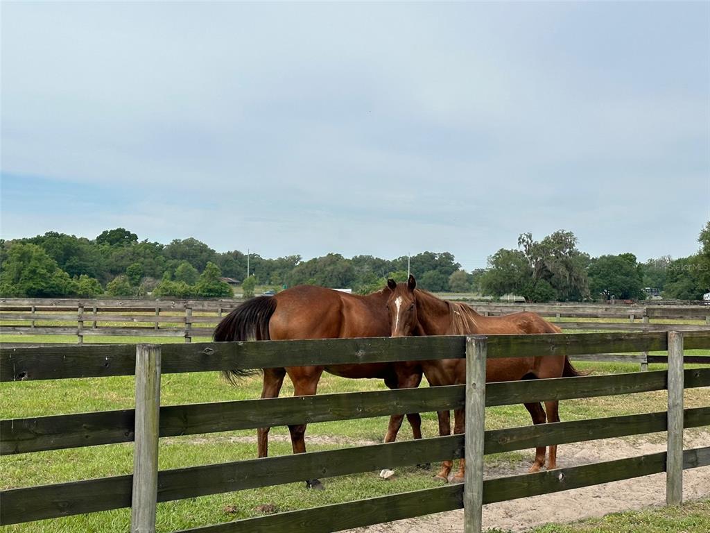 4101 NW 89TH PLACE, OCALA, FL — photo 4 of 28
