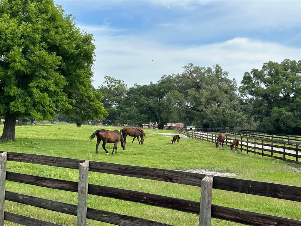 4101 NW 89TH PLACE, OCALA, FL — photo 5 of 28