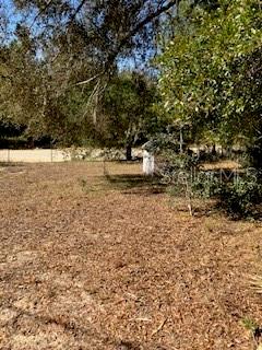 A grassy, leaf-covered lot features scattered trees and a small white structure in the distance — 126 YEATTS AVENUE, INTERLACHEN, FL