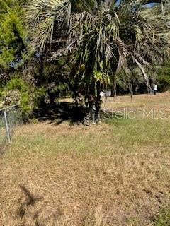 A large palm tree stands in a grassy, partially shaded lot next to a fence — 126 YEATTS AVENUE, INTERLACHEN, FL