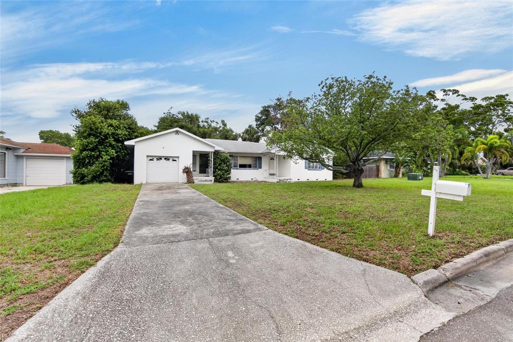A white single-story house with a concrete driveway and a large tree in the yard — 1450 ROGERS STREET, CLEARWATER, FL