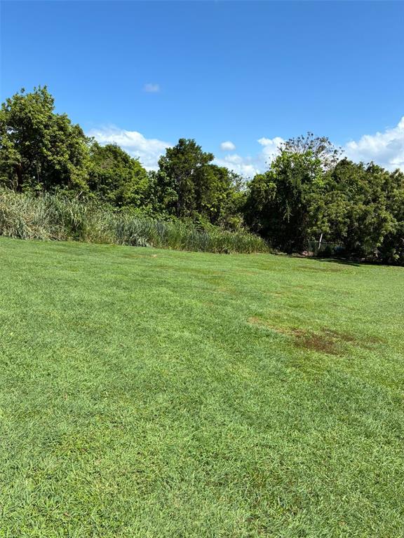 A grassy, sloped lot is bordered by a line of mature trees and tall vegetation — LOT-1 RD-648 KM 1.0 INT. TIERRAS NUEVAS, MANATI, PR
