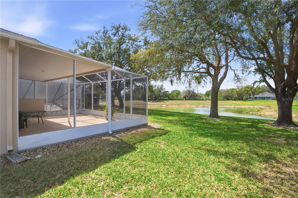 A screened-in patio overlooks a grassy backyard and a small pond under large trees — 19112 WHITE WING PLACE, TAMPA, FL
